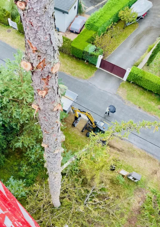 élagage et abattage complet de deux sapins à Sciez, Thonon-les-Bains, Seiller TP