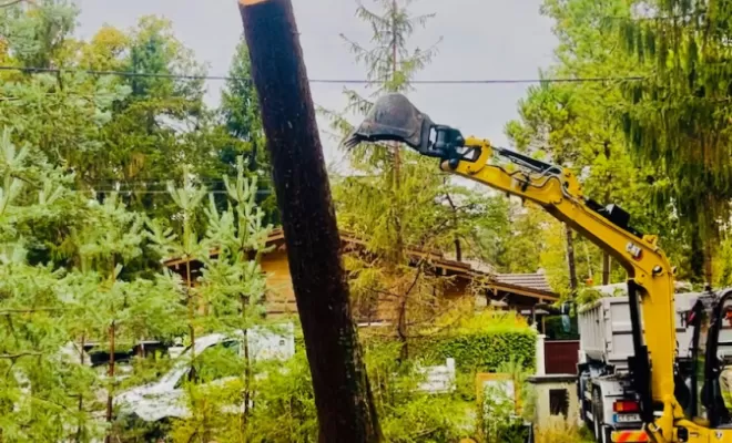 Chargement et évacuation de la totalité du bois, et des branches à Sciez, Thonon-les-bains